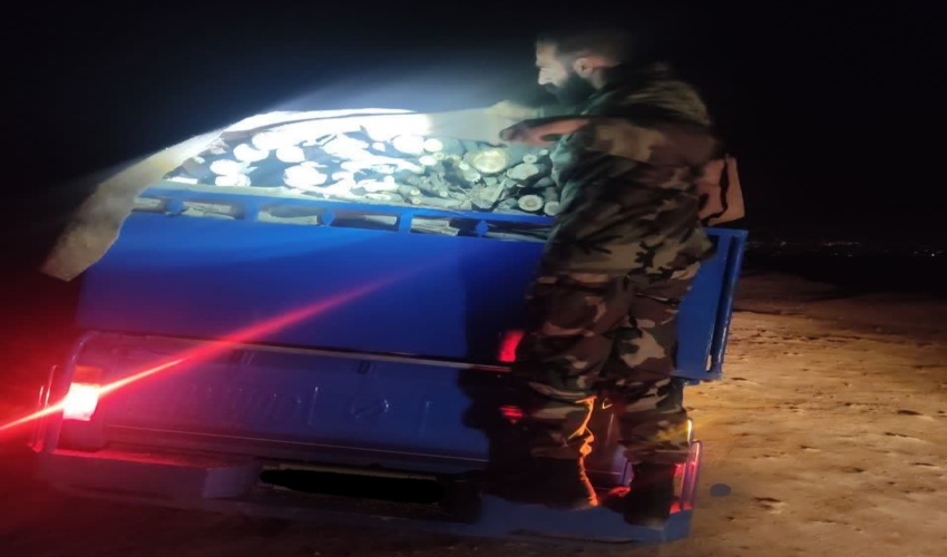 توقف تمامی طرح‌های زراعت چوب در گیلان