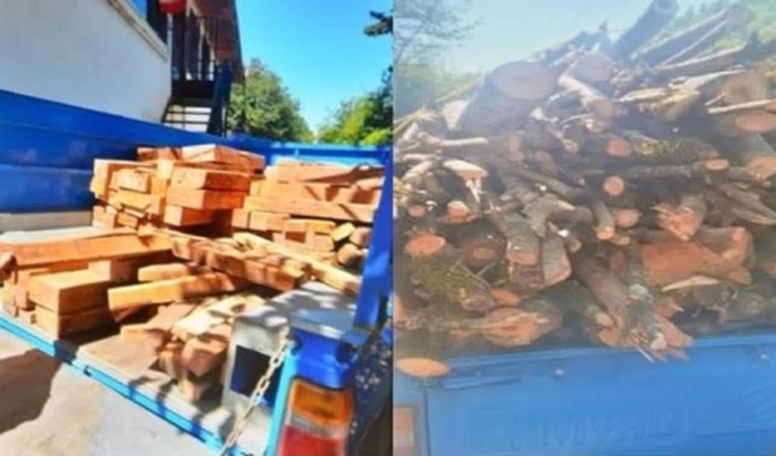 بازدید رئیس سازمان جنگلها، مراتع و ابخیزداری کشور از عرصه های ملی صنوبرکاری شده و باغات صنوبرکاری شهرستان صومعه سرا