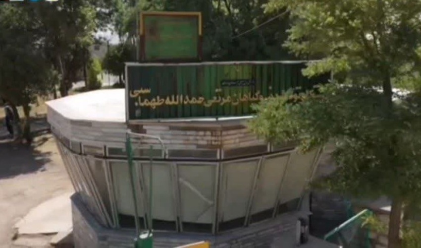 کشف و ضبط چوب در سنگر