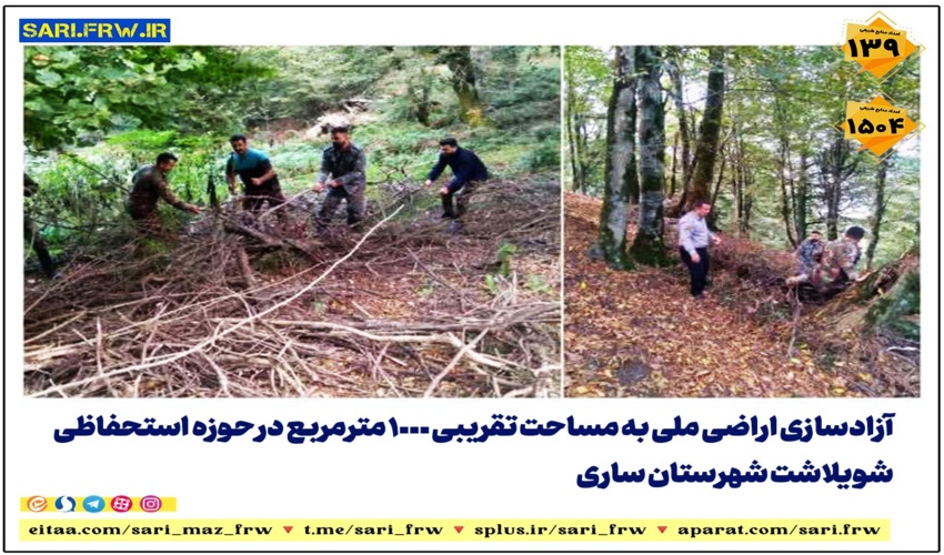 اطفاء حریق در جنگلهای دست کاشت لاکان شهرستان رشت