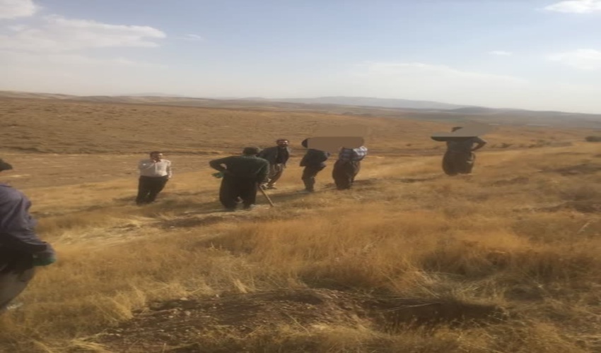 همکاری مستمر اداره منابع طبیعی و آبخیزداری شهرستان آستانه اشرفیه در طرح مبارزه با قاچاق کالا و ارز