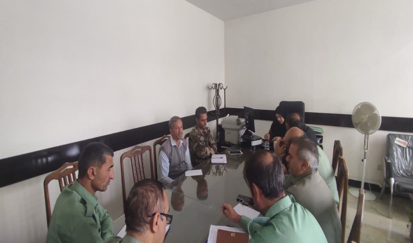 توزیع 500 هزار نهال رایگان صنوبر در گیلان طی امسال