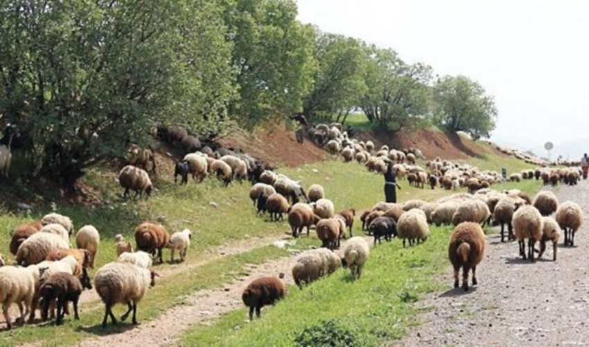 آبخیزداری عمر مفید سدهای گیلان را افزایش می دهد