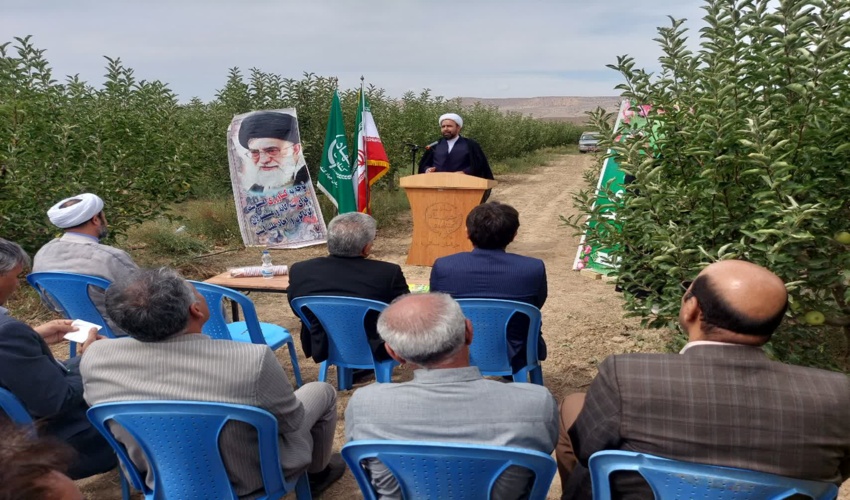 مدیرکل منابع طبیعی: آتش سوزی جنگل های گیلان کنترل شد
