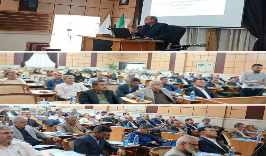نتیجه کار ستاد سازمان جنگل ها در استان ها معلوم می شود 