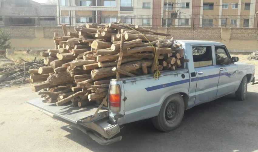 برگزاری مراسم کاشت نهال در شهرستان آستارا