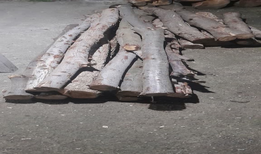  استاندار گیلان به پویش نهال کاری همگانی برای ایرانی سبز پیوست