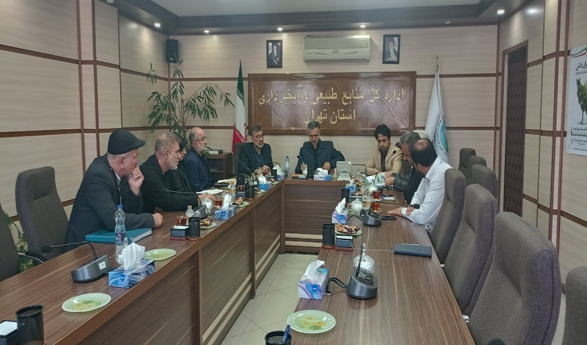 جزئیات تازه از قطع درختان فتاتو شهرستان خمام