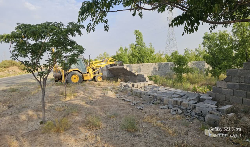 معاون امور جنگل اداره کل منابع طبیعی و آبخیزداری استان گیلان از کاشت یک میلیون و ۱۵۰ هزار اصله نهال در پاییز خبر داد.