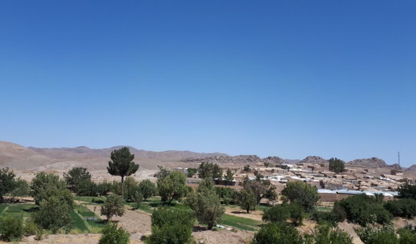 آغاز طرح ملی نهال کاری در شهرستان شفت