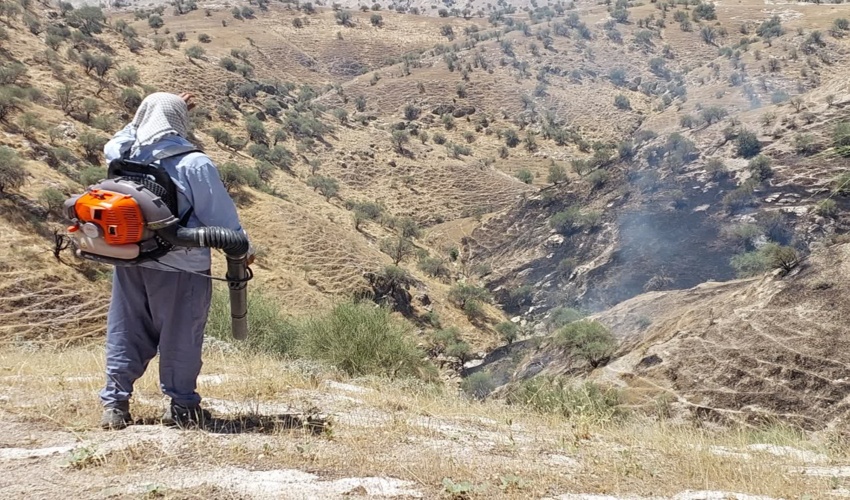 اجرای طرح کاداستر در یک پنجم از زمین های ملی گیلان 