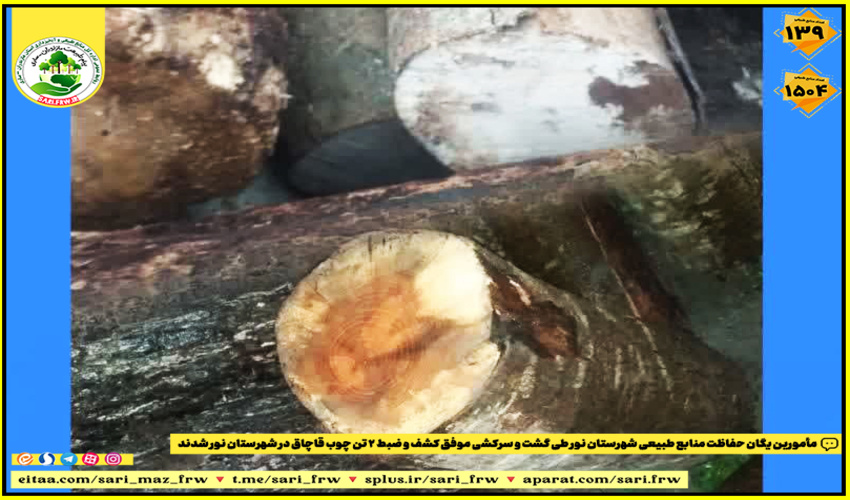 کشف و ضبط چوب آلات غیرمجاز در شهرستان لاهیجان