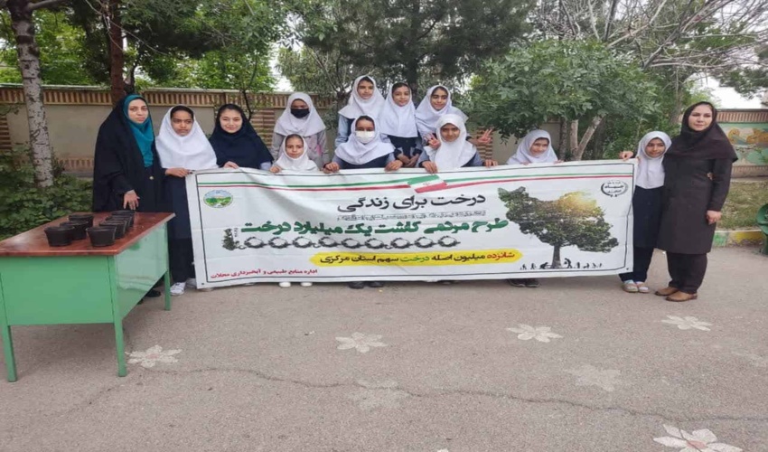 کشف و ضبط چوب آلات غیر مجاز در رشت
