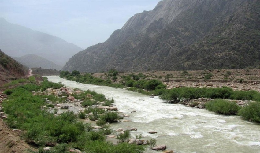 توزیع ۷ هزار و ۵۰۰ اصله نهال در آستانه اشرفیه