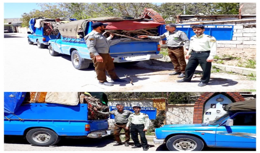 هشت هزار هکتار جنگل کاری در گیلان انجام شد