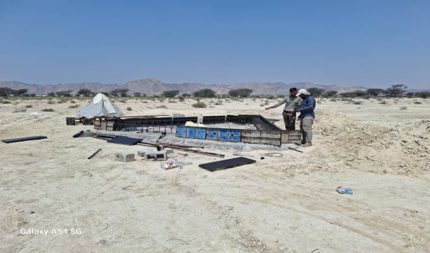  استاندار گیلان از طرح زراعت چوب خرفکل شهرستان شفت بازدید کرد