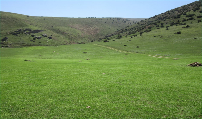 اطلاعیه اداره کل منابع طبیعی و آبخیزداری استان گیلان در خصوص ممیزی مراتع جهت صدور پروانه چرای دام  در شهرستان رودبار 