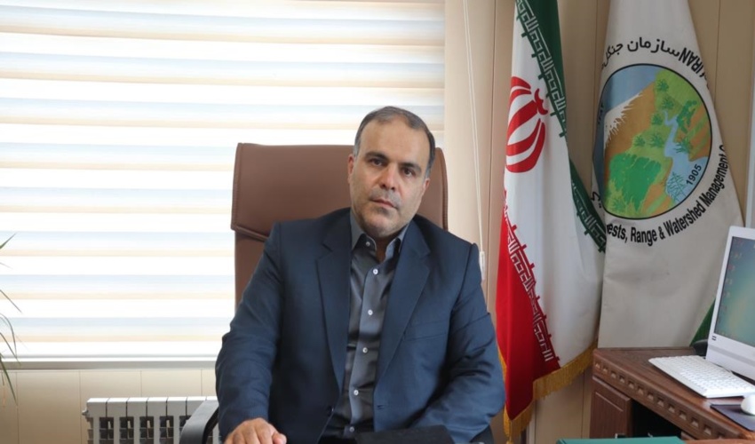 پایش جنگل های گیلان با ۲۰۰ تیم حفاظتی/ وقوع ۴۸ فقره آتش سوزی در جنگل‌های استان