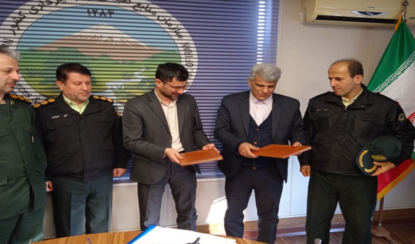 یک میلیارد اصله درخت در کشور کاشته می‌شود