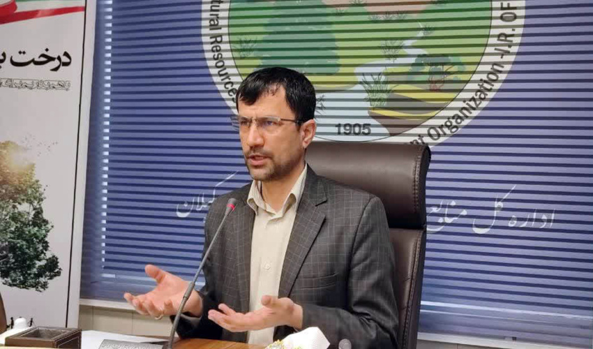 تولید بیش از 2 میلیون اصله نهال در نهالستان های گیلان