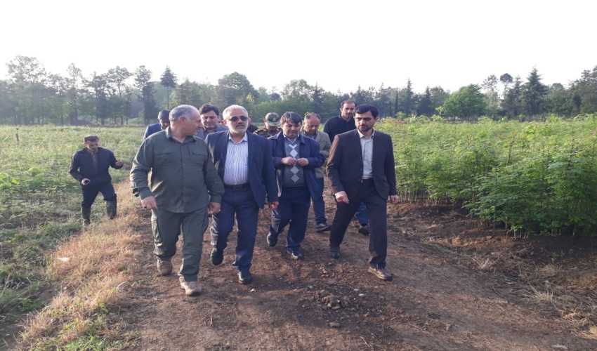 بازدید معاون وزیر و رییس سازمان منابع طبیعی و آبخیزداری کشور از نهالستان پیلمبرای پره سر 