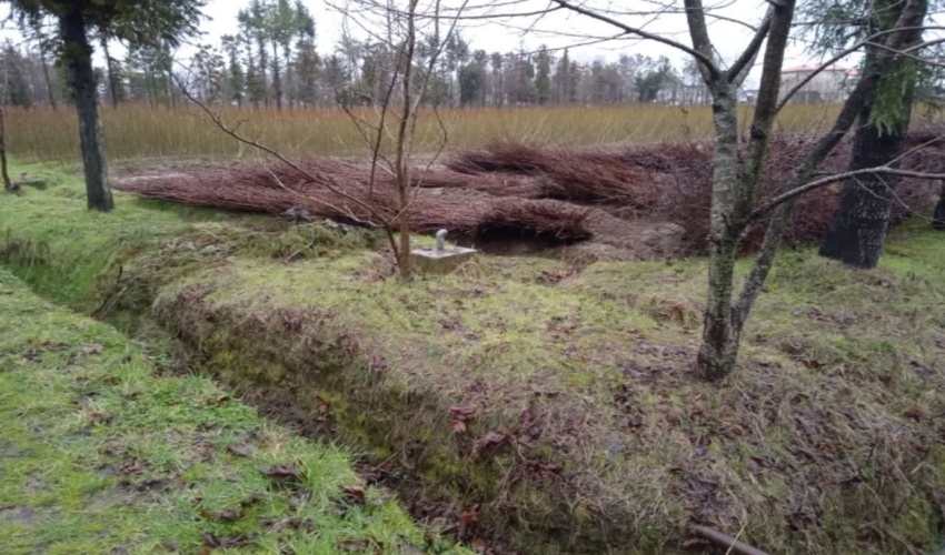 اختصاص ۲ میلیارد تومان اعتبار برای تجهیز نهالستان‌های گیلان