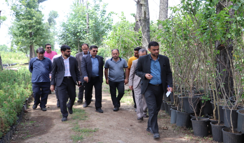 بازدید از نهالستان پیلمبرای پره سر رضوانشهر و پیام سبز تالش  