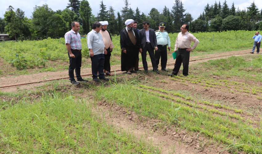 بازدید مسئول حوزه نمایندگی ولی فقیه در سازمان منابع طبیعی و آبخیزداری کشور از نهالستان پیلمبرا پره سر شهرستان رضوانشهر
