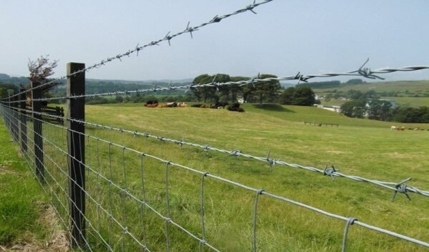 رفع تصرف ۱۵ هکتار از اراضی ملی شفت