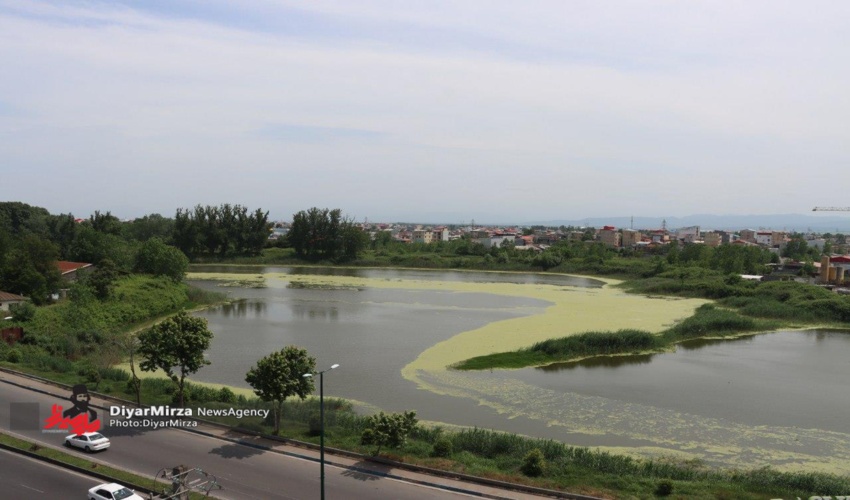 سند مالکیت تالاب عینک رشت به نام سازمان منابع طبیعی صادر شد 