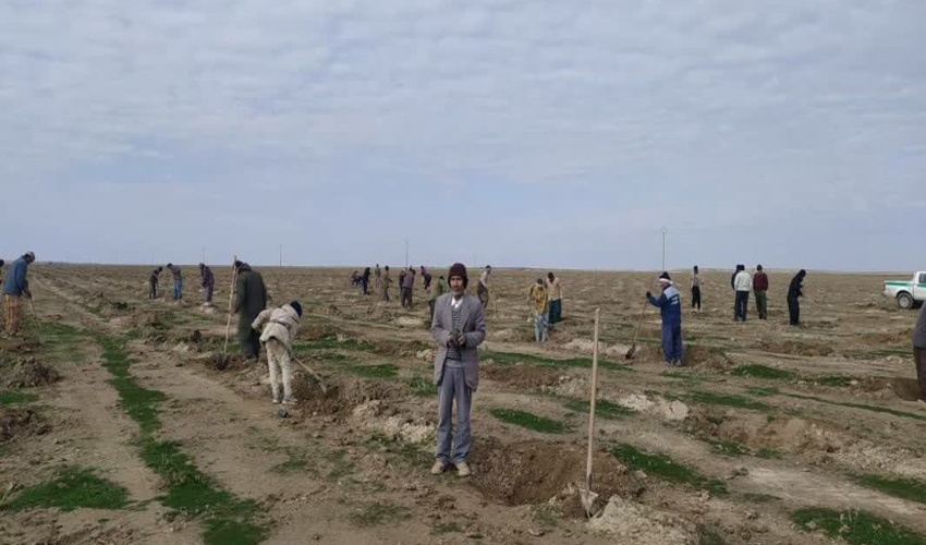 کشف چوب آلات قاچاق در  شهرستان تالش 