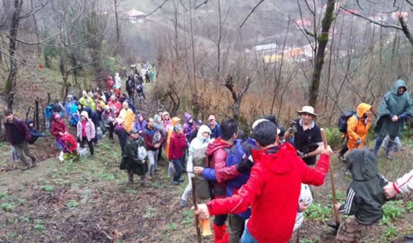رویش دوباره «سرخدار» و «شاه‌بلوط» در شفت با فرمان رهبری