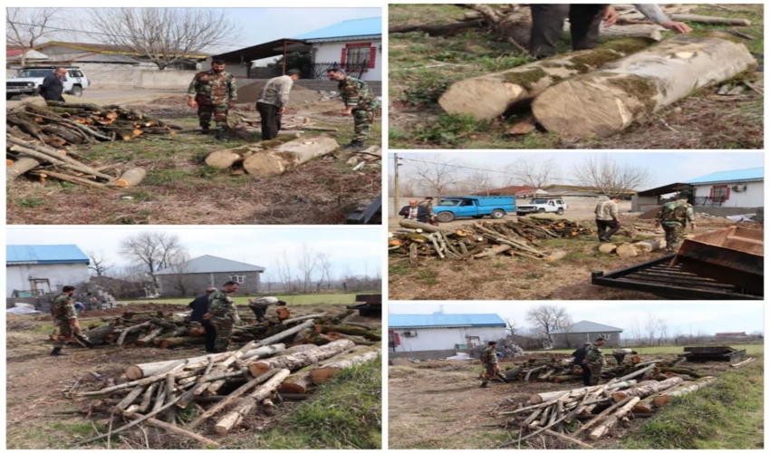  طرح تشدید مقابله با قاچاق چوب آلات جنگلی وغیرمجاز