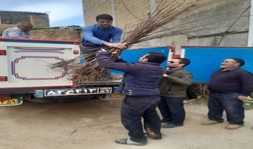 کشف و ضبط چوب آلات جنگلی در سیاهکل 
