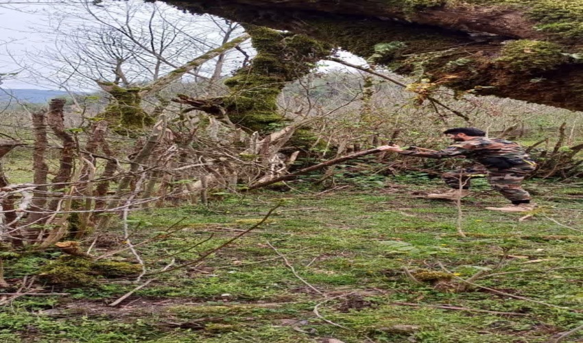 رفع تصرف 4000 متر مربع اراضی ملی در شهرستان سیاهکل