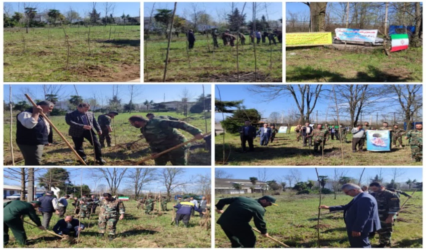 کاشت 500 اصله نهال در شرکت پشم بافی ایران برک