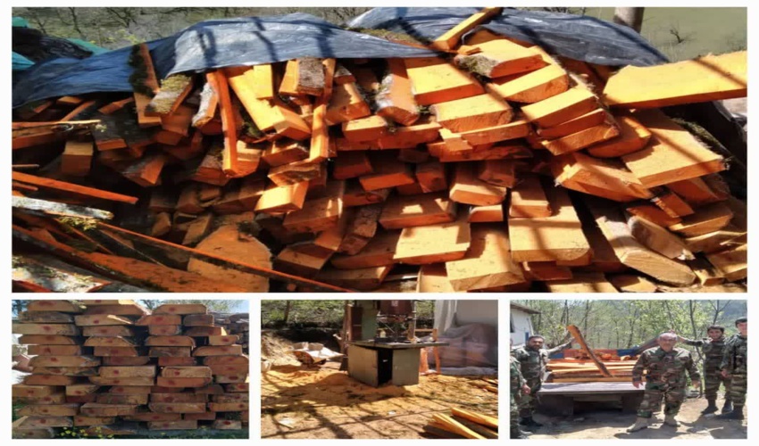 کشف وضبط چوب آلات قاچاق در شهرستان تالش 