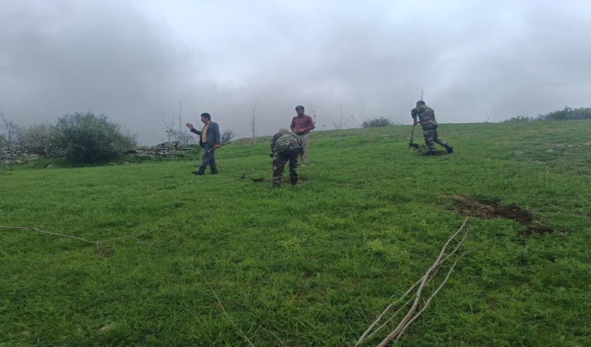کشف وضبط چوب آلات قاچاق در شهرستان صومعه سرا