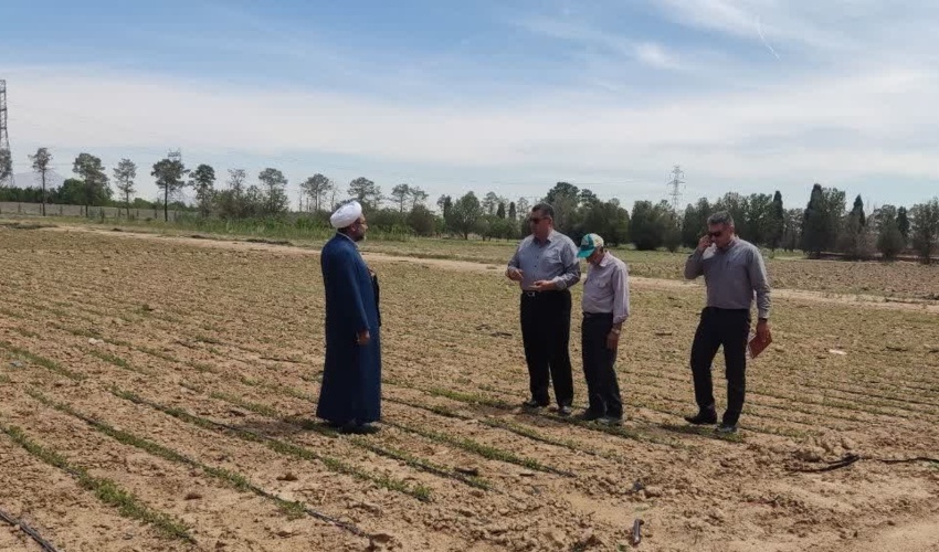  چوب آلات قاچاق در شهرستان رودسر کشف وضبط شد