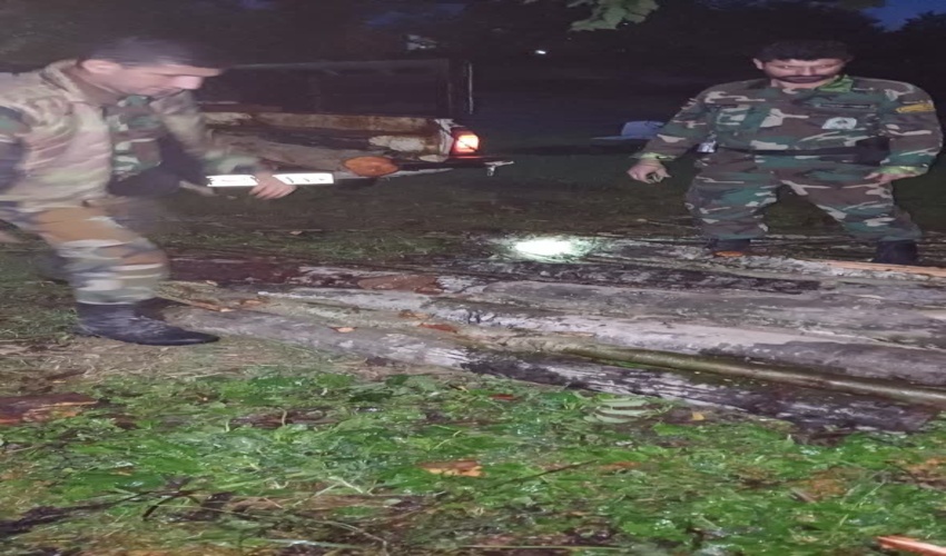 کشف وضبط چوب آلات قاچاق در شهرستان سیاهکل