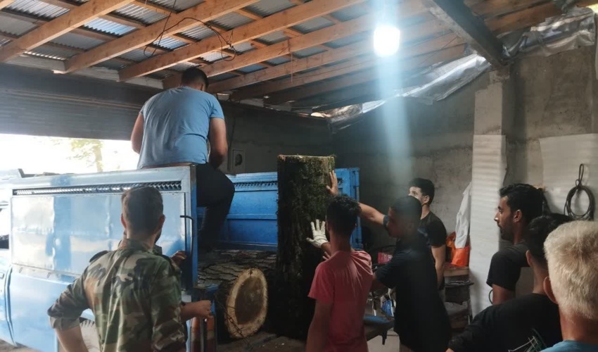 کشف وضبط چوب آلات قاچاق در مناطق مختلف استان گیلان