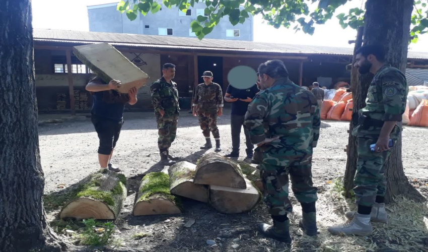 کشف و ضبط چوب آلات قاچاق در شهرستان تالش