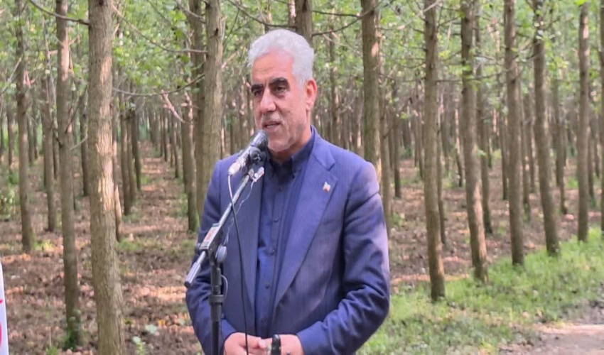 استاندارگیلان در همایش زراعت چوب در صومعه سرا