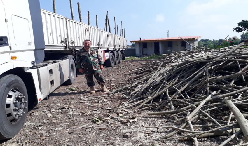 طرح تشدید مقابله با چوب آلات قاچاق وغیر مجاز