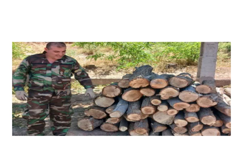 کشف وضبط چوب آلات قاچاق در شهرستان رودبار