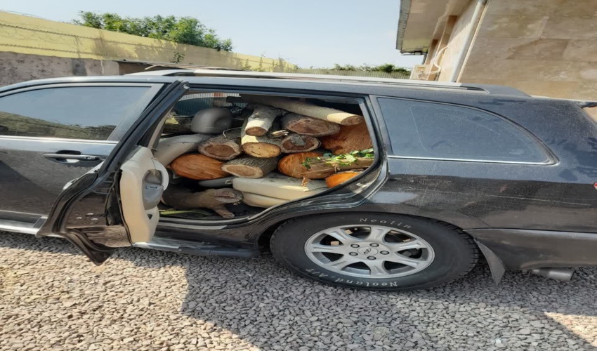 کشف چوب آلات قاچاق از خودروی شاسی بلند در صومعه سرا