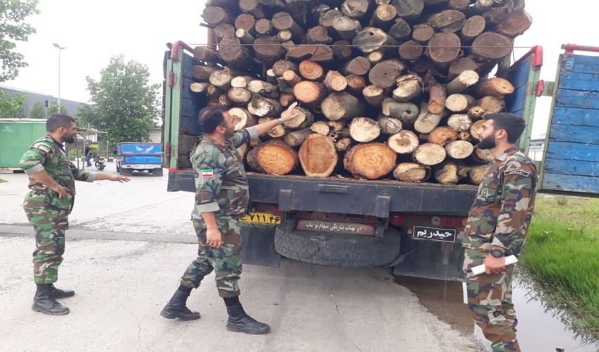 کشف و ضبط چوب آلات قاچاق وغیرمجاز در شهرستان رشت