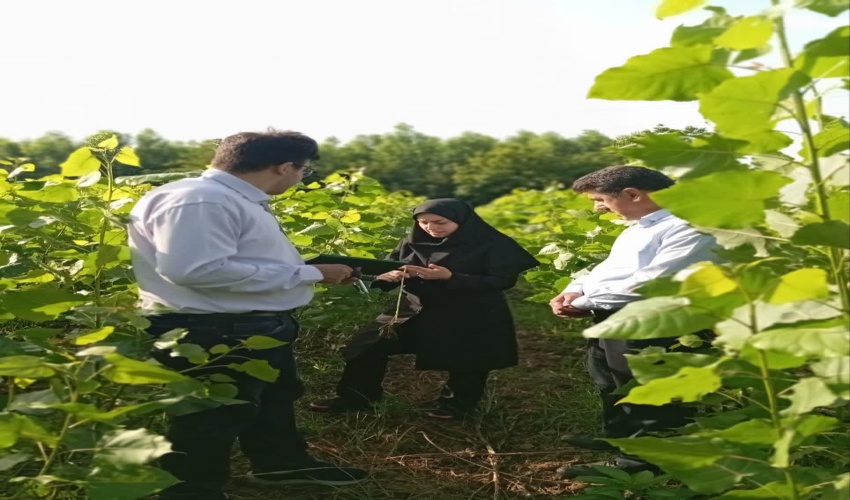  هشتاد ویکمین جلسه طرح مردمی کاشت یک میلیارد درخت برگزار شد 