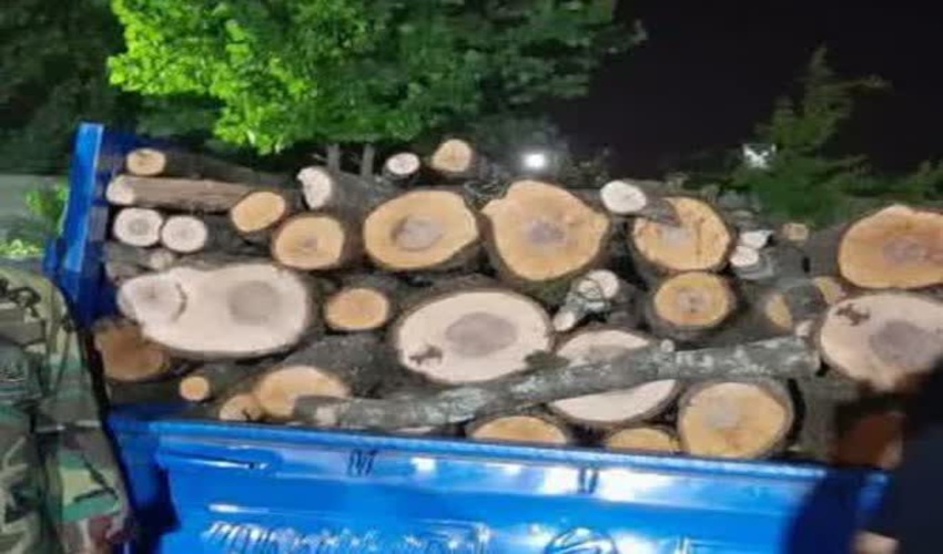  کشف وضبط چوب آلات قاچاق در شهرستان رشت