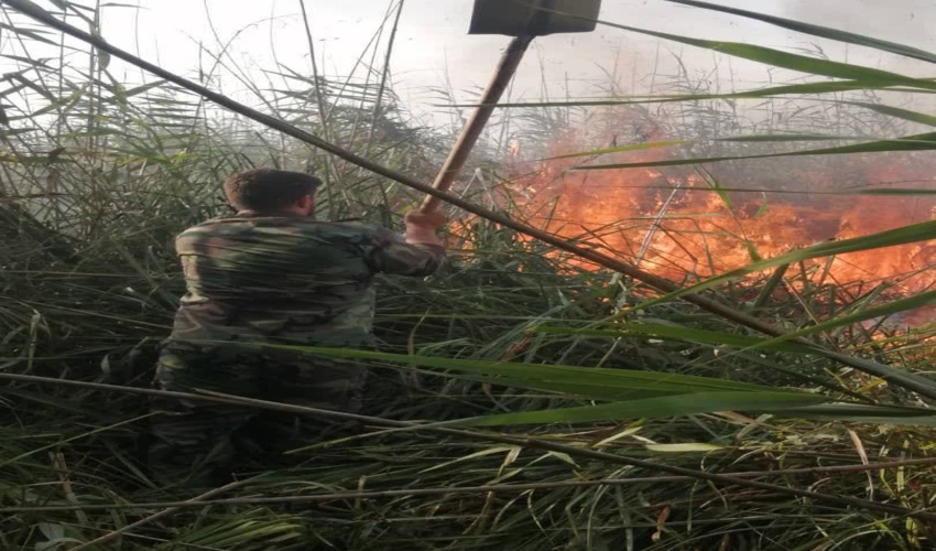  مهار آتش سوزی در پارک ملی بوجاق 